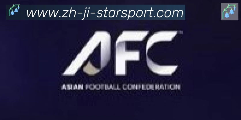 星空体育app合作伙伴